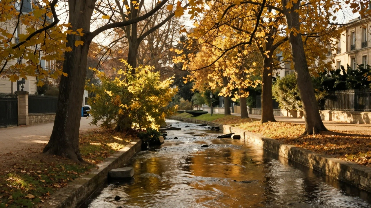 Jardins de Bercy Village, ruisseau et feuilles automnales